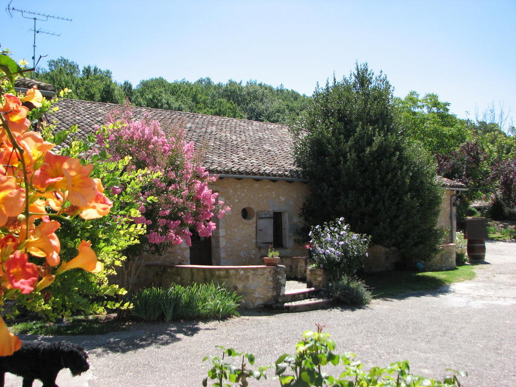 Chambres D'Hotes De Charme Du Chateau De Missandre Saint-Pierre-de-Caubel Номер фото